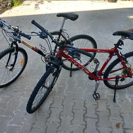Lägenhet Lan